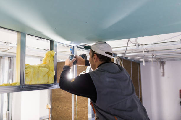 Best Energy Efficiency Insulation in Mountain Lake, MN