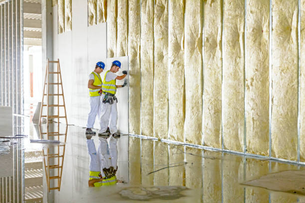 Best Spray Foam Insulation in Mountain Lake, MN
